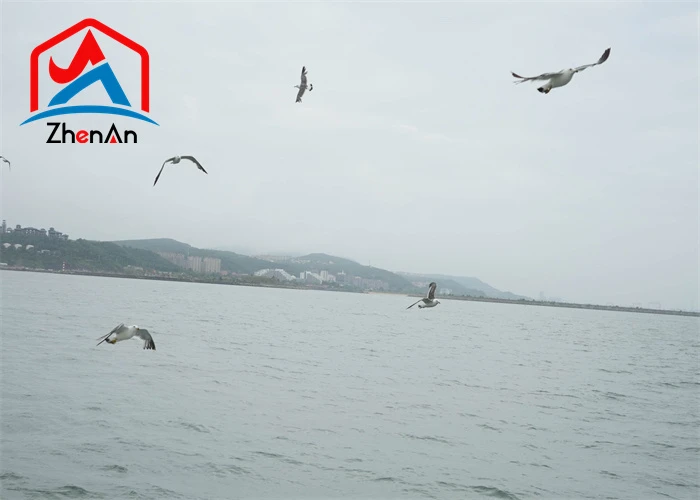 product-700-500