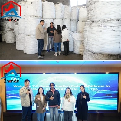 UAE-kunder besøker ZhenAn Group 26. november 2024